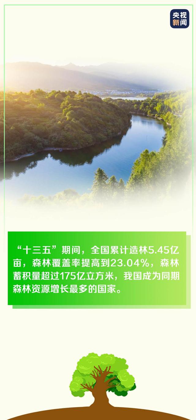 ����ֲ��(sh��)��(sh��)����