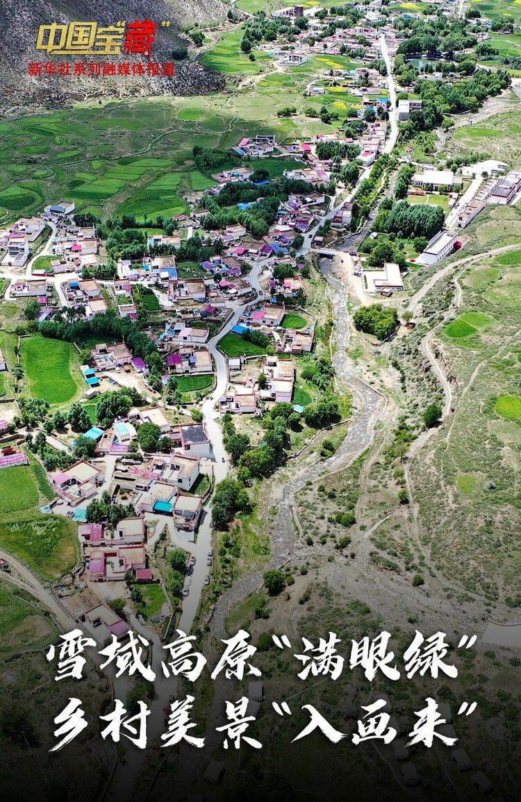 中國(guó)寶“藏” 雪域高原“滿(mǎn)眼綠” 鄉(xiāng)村美景“入畫(huà)來(lái)”