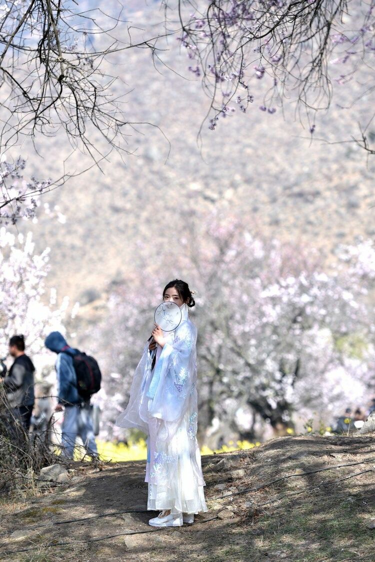 中國(guó)寶“藏” 雪域高原“滿(mǎn)眼綠” 鄉(xiāng)村美景“入畫(huà)來(lái)”