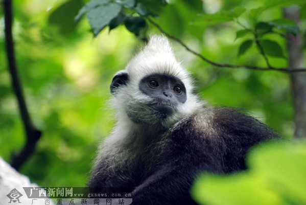 �V��������^�~����Ȼ���o�^(q��)
