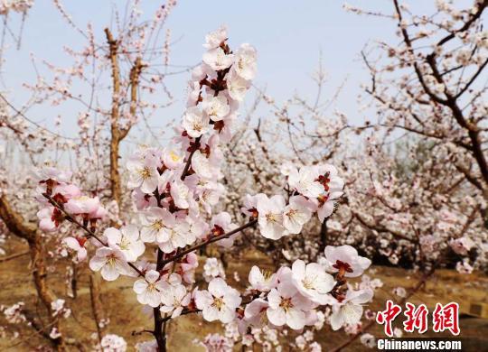 �п��d�ӻ�ŭ������������һƬ��������D��