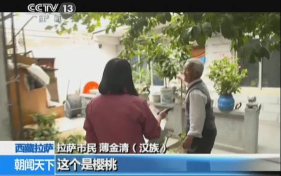 【西藏故事】三個民族一個家 薄詠梅:“我是團(tuán)結(jié)族”