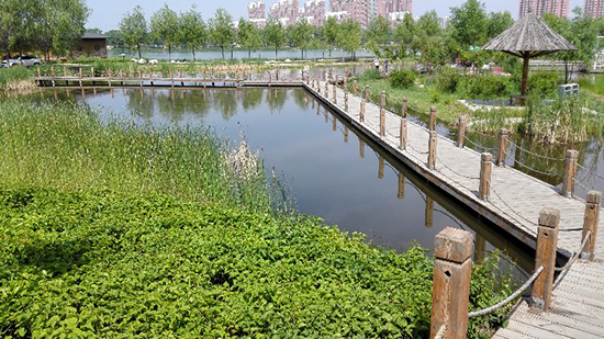 呼和浩特公園 副本