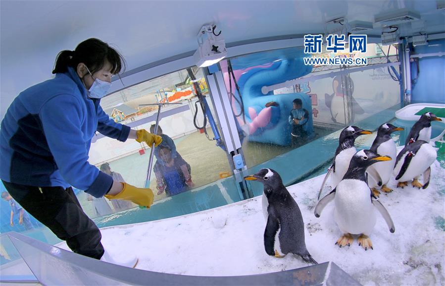 #(社會)(3)堅(jiān)守崗位過國慶