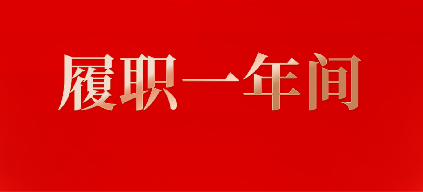 履職一年間